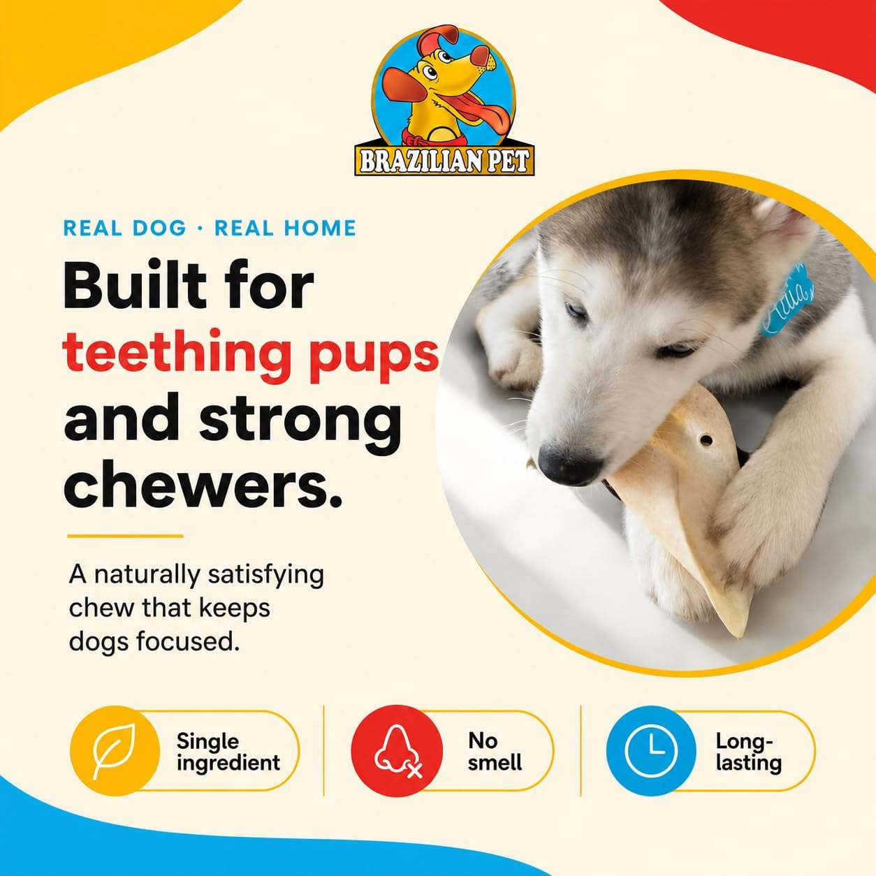 brazilian-pet-100-natural-real-cow-ears-50-pack-prime-dog-chews-over-5-inches-free-range-grass-fed-cattle-no-additives-chemicals-or-hormones