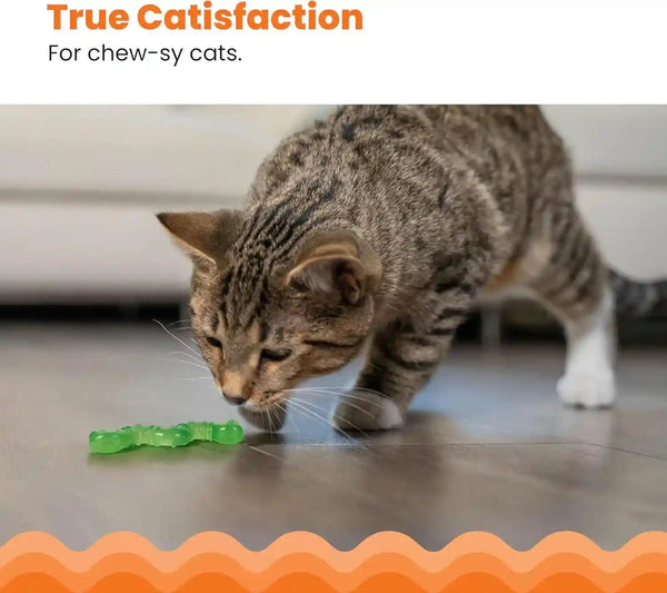 Petstages Orkakat Wiggle Worm Dental Catnip Cat Chew Toy2