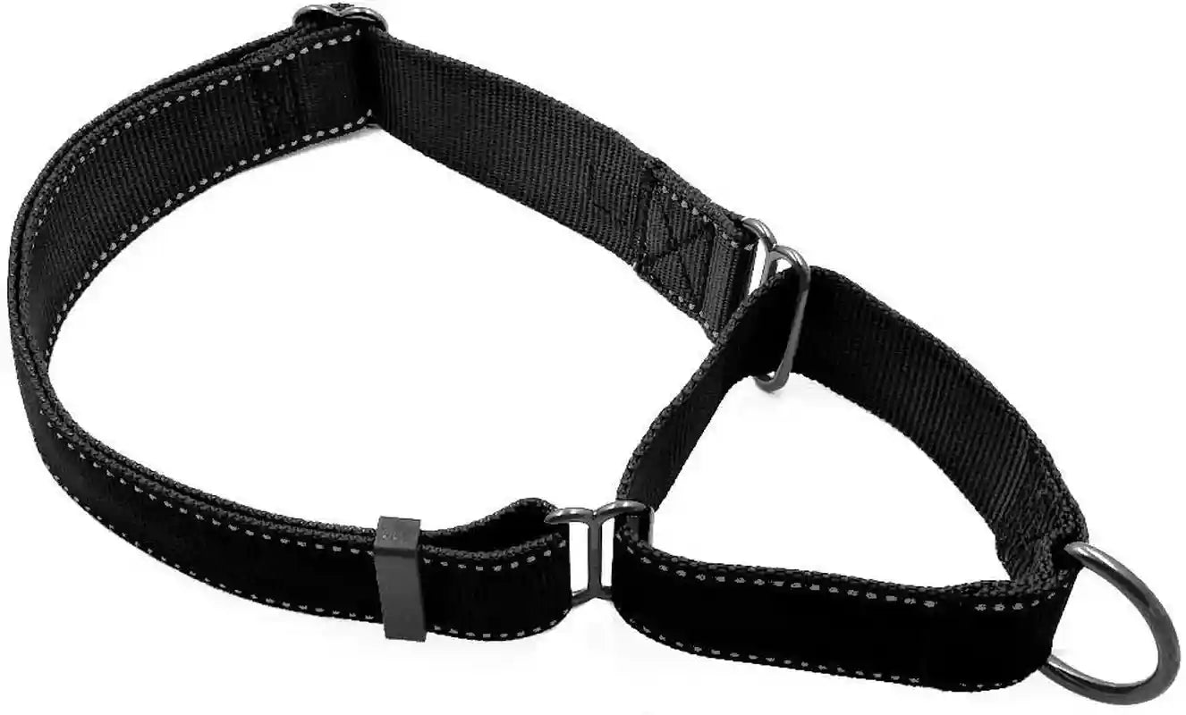 max-and-neo-nylon-martingale-collar-we-donate-to-a-dog-rescue-for-every-collar-sold-medium-orange