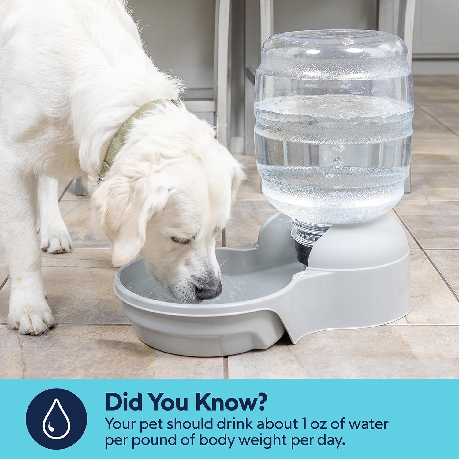 petmate-aspen-pet-lebistro-cat-and-dog-water-dispenser-made-in-usa