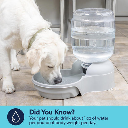 Petmate Aspen Pet Lebistro Cat and Dog Water Dispenser, Made in USA5