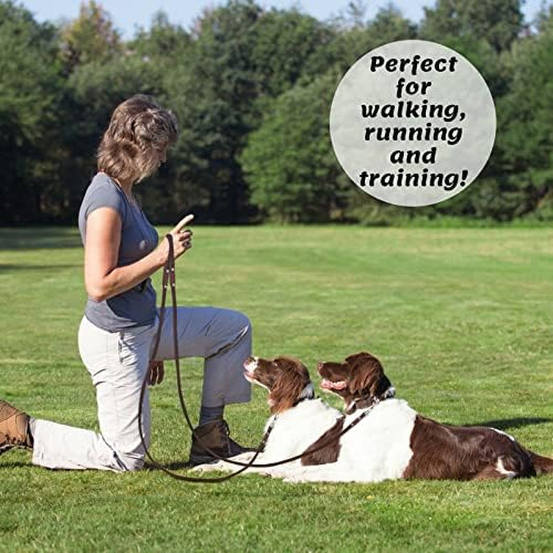 adityna-leather-dog-leash-for-small-medium-dogs-6ft-x-5-8-soft-yet-strong-leather-leash-for-walking-training-hiking-great-for-shih-tzu-poodle-french-bulldog-corgi