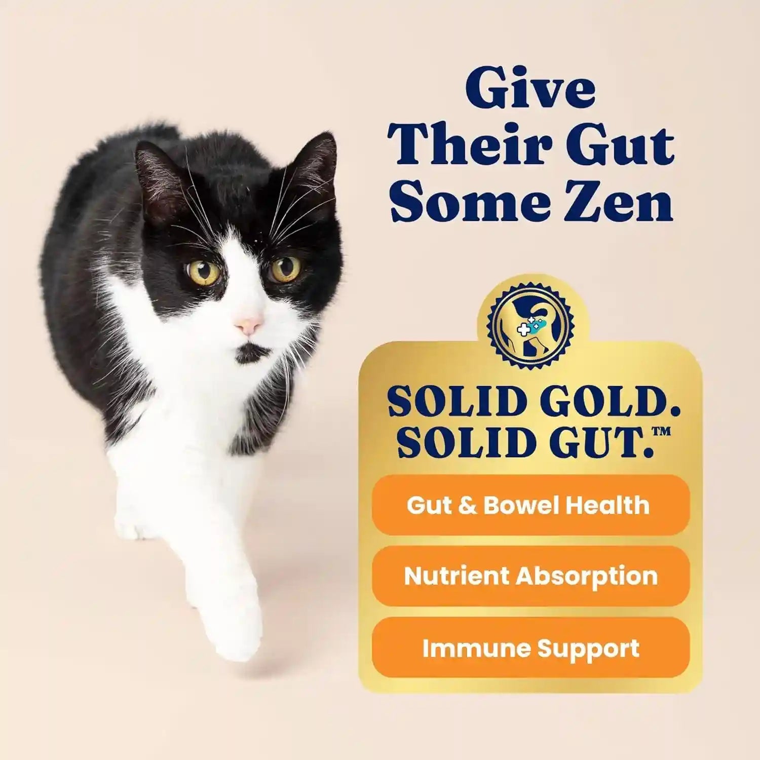 solid-gold-high-protein-dry-cat-food-grain-free-gluten-free-chicken-cat-dry-food-w-probiotics-for-gut-health-digestion-high-fiber-omega-3-low-carb-superfood-kibble-for-cats-all-ages-12lb