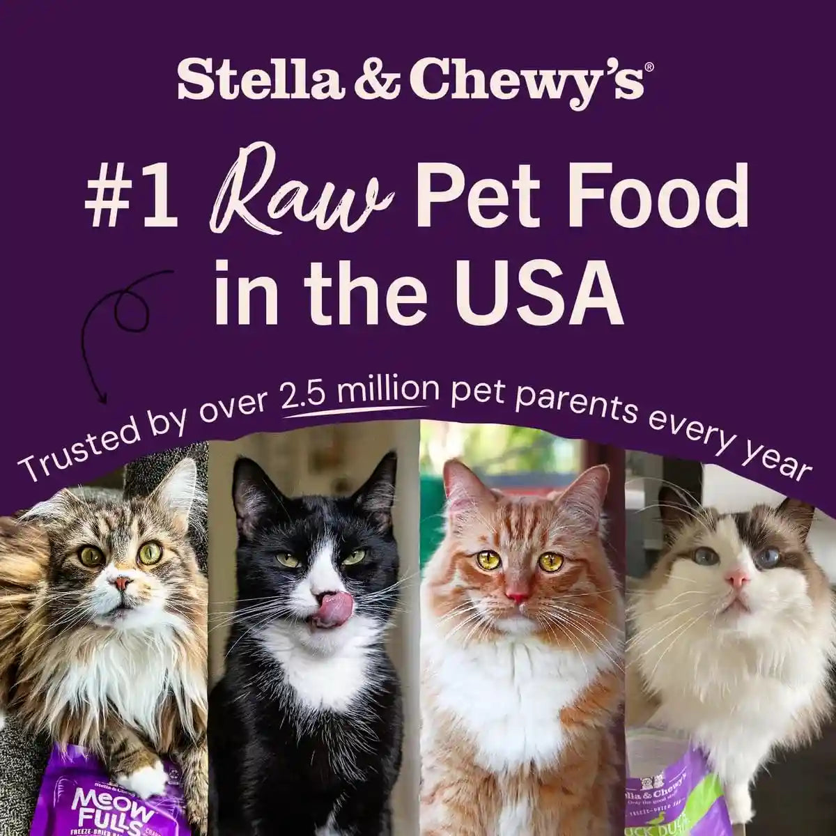stella-chewys-freeze-dried-raw-cat-dinner-morsels-premium-chicken-recipe-with-98-cage-free-meat-organs-natural-grain-free-cat-kitten-food-made-in-usa-18-oz