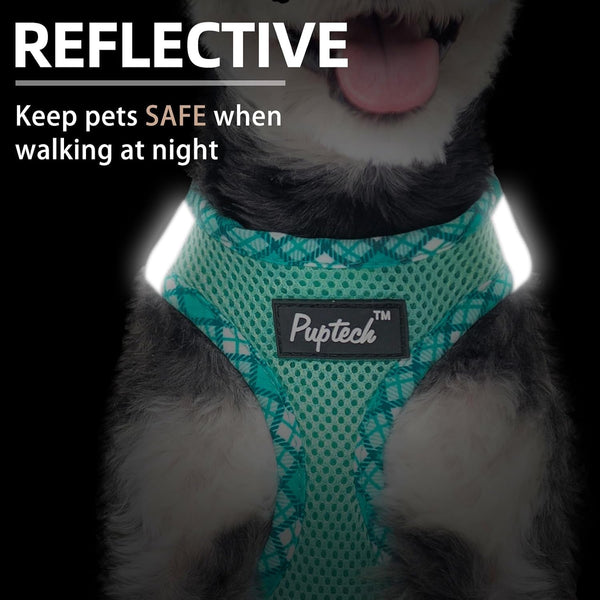 PUPTECK Dog Harness and Leash Set for Small Medium Dogs No Pull Step-In Soft Mesh Puppy Cat Vest Harnesses Reflective at Night, Green S5