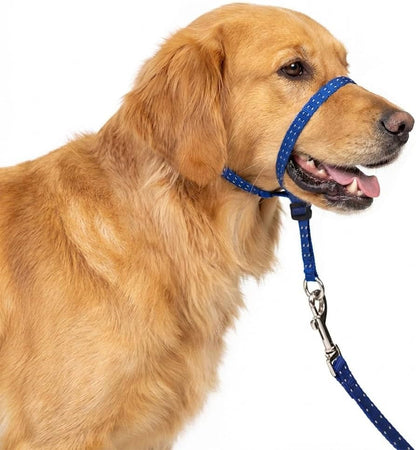 Headcollar for Dogs, Extra Soft Padded, Reflective, No Pull Dog Collar, Gentle Leader for Dogs with Durable Nylon Leash, Padded Handle - Navy Blue (Large)1