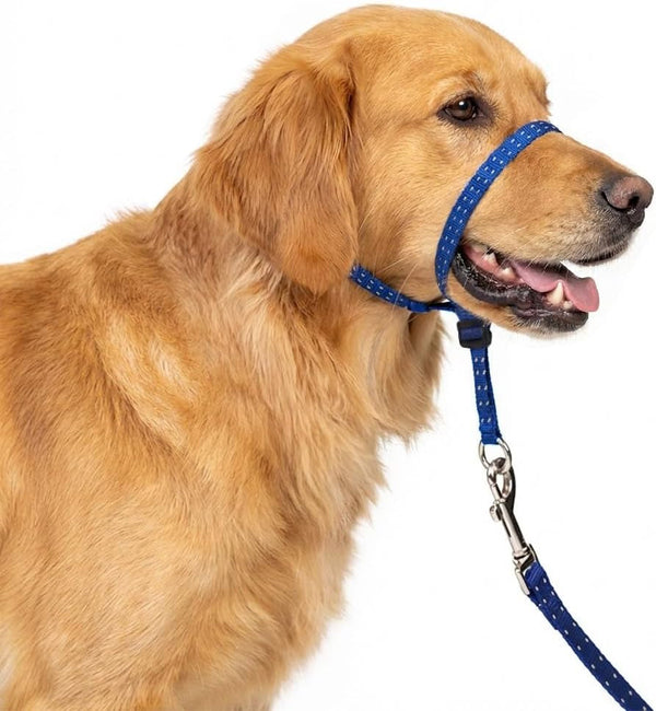Headcollar for Dogs, Extra Soft Padded, Reflective, No Pull Dog Collar, Gentle Leader for Dogs with Durable Nylon Leash, Padded Handle - Navy Blue (Large)1