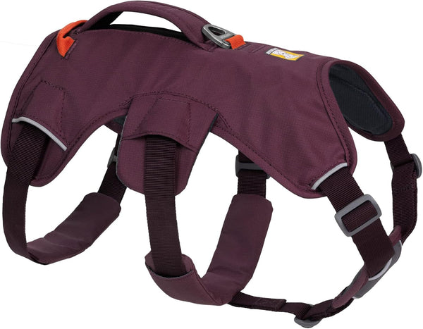 Ruffwear, Web Master, Multi-Use Support Dog Harness, Hiking and Trail Running, Service and Working, Everyday Wear, Basalt Gray, X-Small14