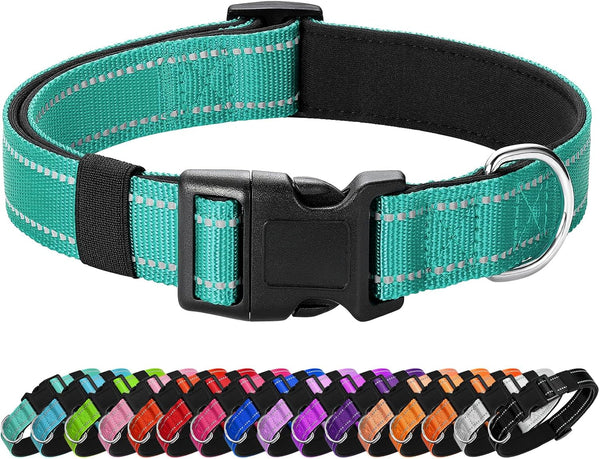 Reflective Dog Collar Padded with Soft Neoprene Breathable Quick Release Basic Dog Collars for Medium Dogs Purple Girl9