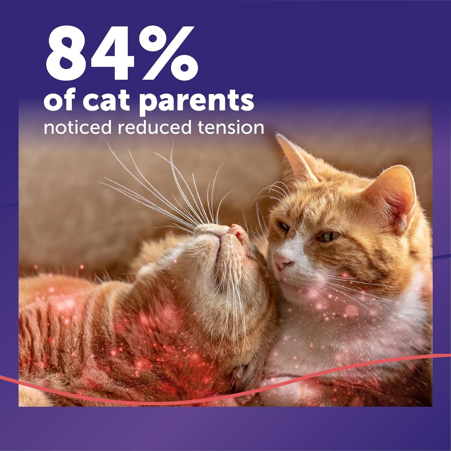 feliway-multicat-cat-calming-pheromone-diffuser-kit-helps-reduce-fighting-tension-and-aggression-between-cats-due-to-stress-for-multi-cat-homes-30-day-supply