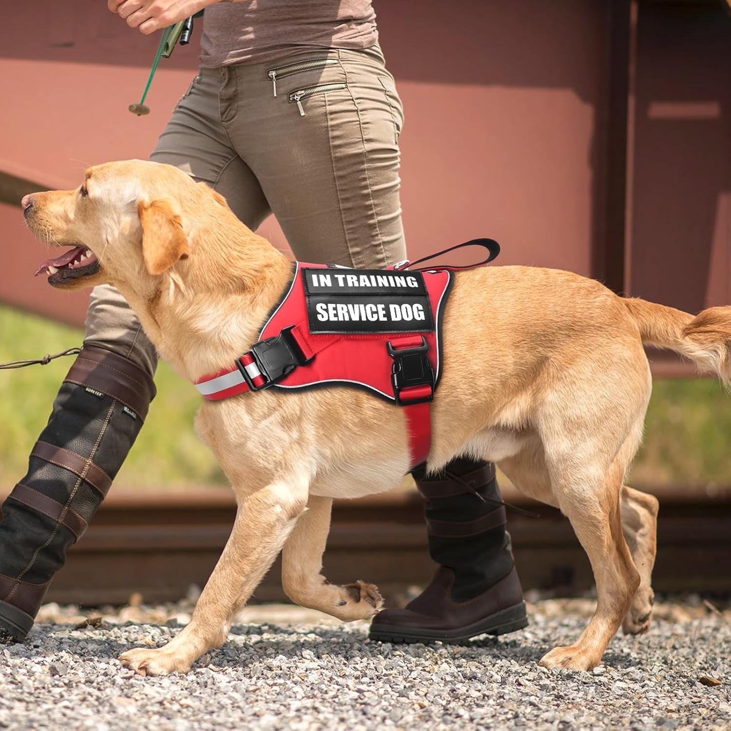 service-dog-vest-harness-and-leash-set-10-patches-no-pull-adjustable-reflective-dog-harness-with-soft-padded-handle-for-training-everyday-fit-small-medium-large-extra-large-dogsred-xl-no-pull-adjustable-reflective-service-dog-harness-large-sized-dog-leash-with-2-soft-padded-handles-for-training-working