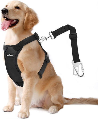 Vavopaw Dog Seat Belt Vest Harness for Car,2 in 1 Seatbelt Buckle | Soft Breathable Mesh,Adjustable Buckle,Nylon,Heavy Duty Pet Safety Seat Belts for Small Medium Large Pets,Black,L29