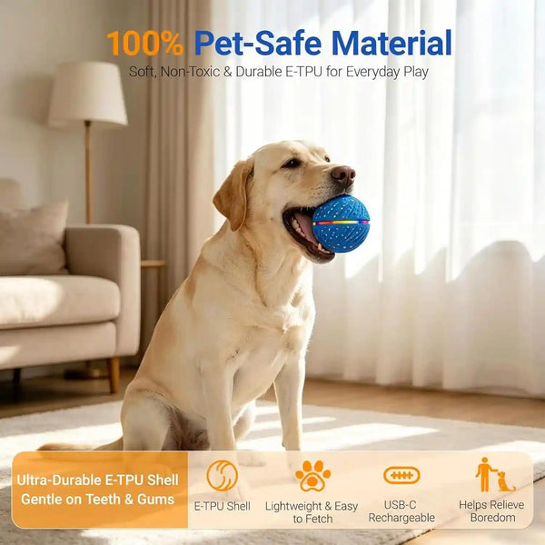 Interactive Dog Ball Toy for Small Medium Dogs – Automatic Rolling, Bouncing & Moving Dog Toy with LED Lights, 2-In-1 Fetch Toy, Durable E-TPU, USB Rechargeable (2.8” Blue)4
