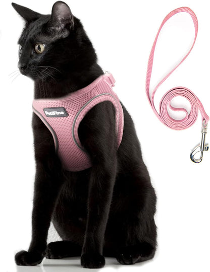 Small Dog Harness and Leash Set Breathable Step-In Puppy Cat Harness,Xs | Reflective for Safe Easy Walking,Soft Light Puppy Vest,Escape Proof,No Pull Harness for Dogs,All Weather Air Mesh Harness25