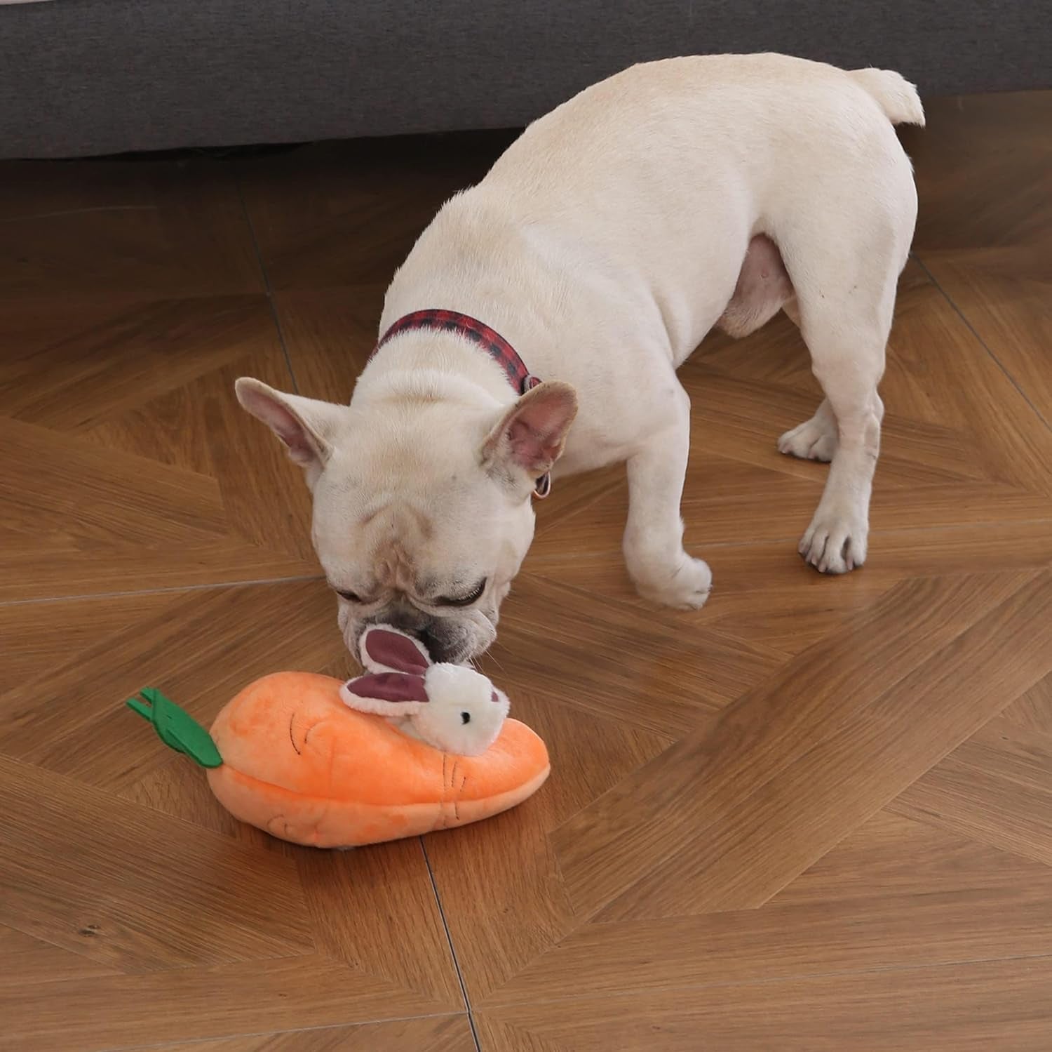 amazon-basics-interactive-hide-and-seek-squeaky-dog-plush-toy-with-squeaker-for-small-dogs-rabbit-and-carrot-orange-and-white-5-pack