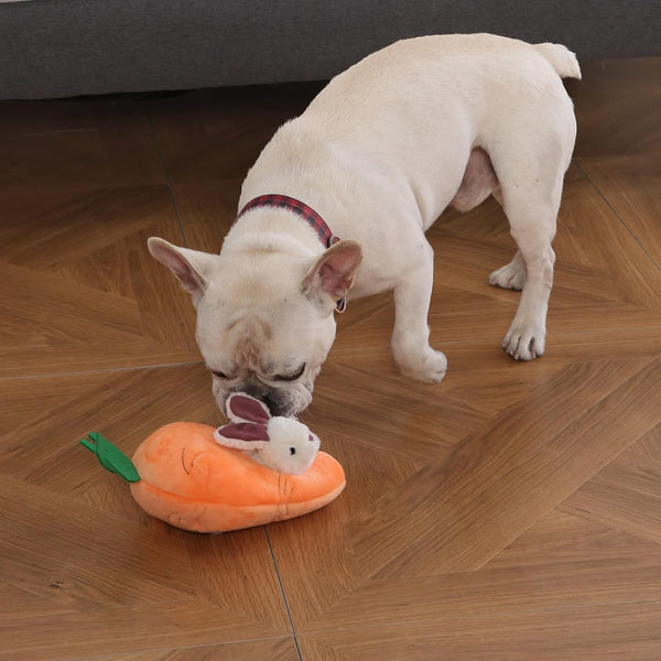 Amazon Basics Interactive Hide and Seek Squeaky Dog Plush Toy with Squeaker for Small Dogs, Rabbit and Carrot, Orange and White, 5-Pack6