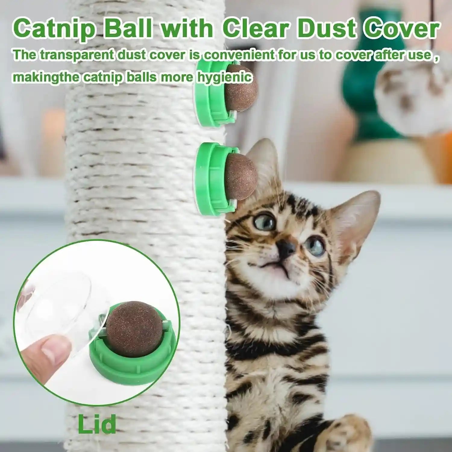 ccinee-3pcs-catnip-balls-for-cats-wall-catnip-toys-edible-cat-toys-for-cat-lick-safe-healthy-kitten-chew-toys-teeth-cleaning-dental-cat-toys