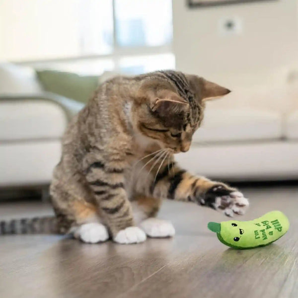Catstages Crunchy Pickle Kicker Cat Toy – Plush Crinkle Toy with Catnip and Dental Mesh, 6.5"8