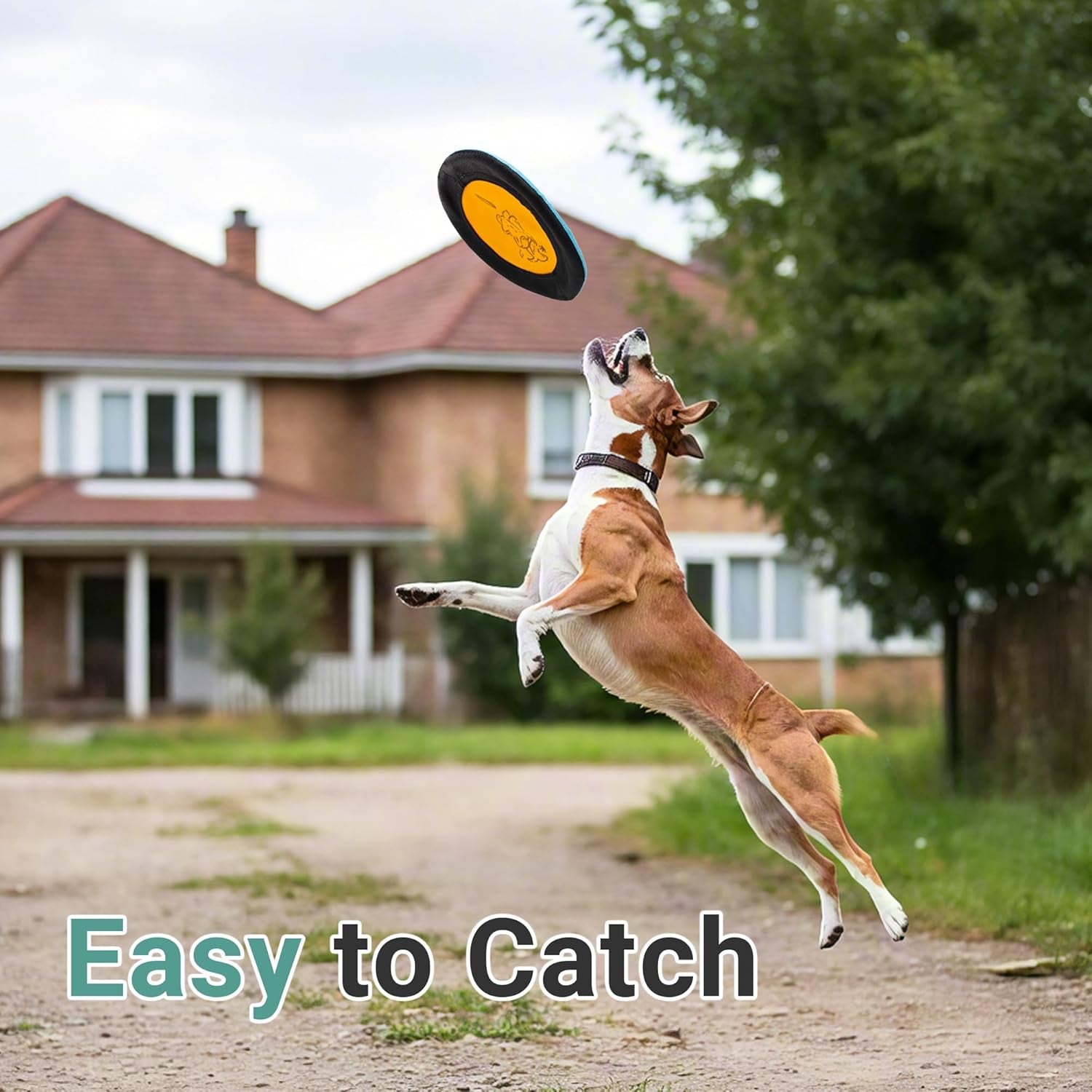 bifeaw-3-packs-nylon-interactive-dog-flying-disc-floating-dog-toys-for-aggressive-chewers-water-toys-for-dogs-blue-and-yellow
