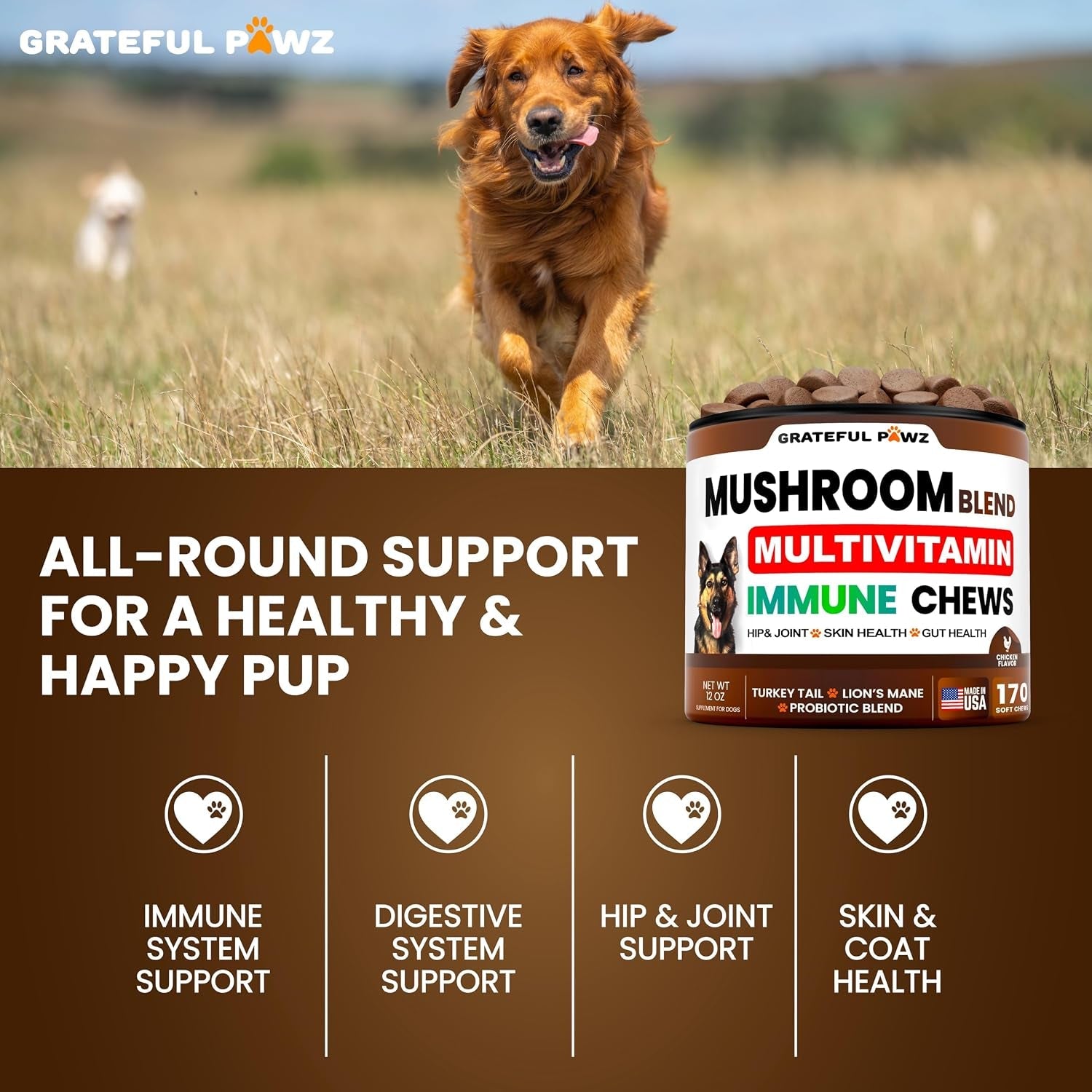 turkey-tail-mushroom-supplement-for-dogs-170-chews-mushrooms-for-dogs-reishi-lion-s-mane-glucosamine-multivitamin-immune-booster-gut-hip-joint-health-support-vitamins-energy-skin