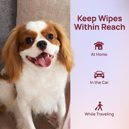 HICC PET Pet Cleaning Wipes for Dogs & Cats, Paws & Coat, 100 Count | Pearl-Textured, with Fermented Coconut Oil and Damask Rose, for Face and Rear-End Cleaning after Walks or between Baths8