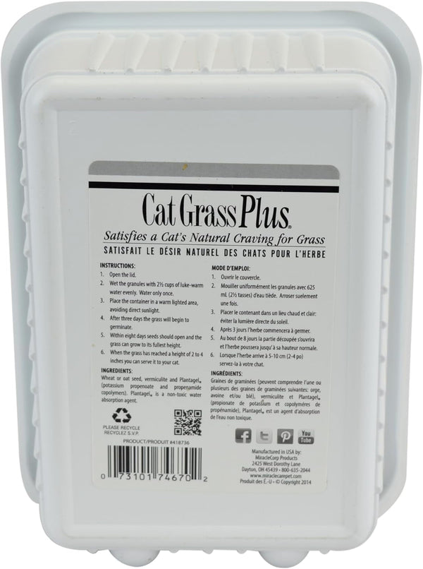 Miracle Care Cat A'Bout Cat Grass Kit, 5.25 Ounce | Easy to Grow Seeds + Planter for Indoor Cats, Natural Fiber Aids Digestion, Reduces Hairballs, Freshens Breath, Quick Growing6
