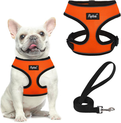 PUPTECK Soft Mesh Dog Harness Small Sized and Leash Set Pet Puppy Cat Comfort Padded Vest No Pull Harnesses, Beige, S76