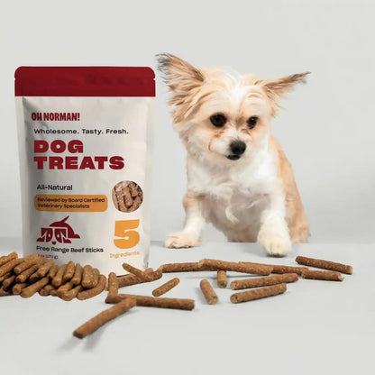 OH NORMAN! Soft Beef Jerky Dog Treats, Free-Range Beef, 6 Oz | Air-Dried, Free-Range Beef Jerky with Limited Ingredients, Gentle on Sensitive Stomachs. Great for Training & Daily Rewards5