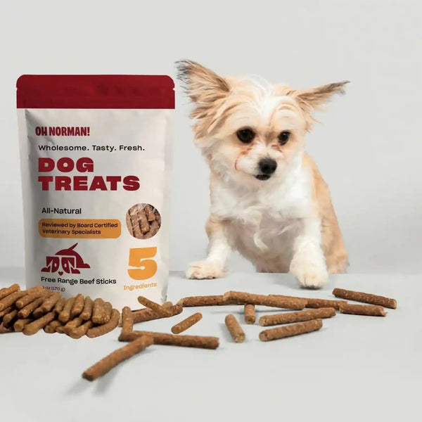 OH NORMAN! Soft Beef Jerky Dog Treats, Free-Range Beef, 6 Oz | Air-Dried, Free-Range Beef Jerky with Limited Ingredients, Gentle on Sensitive Stomachs. Great for Training & Daily Rewards5