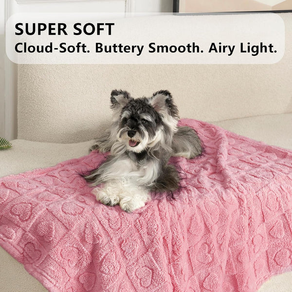 Gogobunny Pet Blanket for Dogs Cats, 300GSM Ultra Soft Coral Fleece Blanket, Washable Small Dog Cat Blanket, Calming Crate Mat, Furniture Protector for Couch Bed Car Seat, Pink, 25X35In3