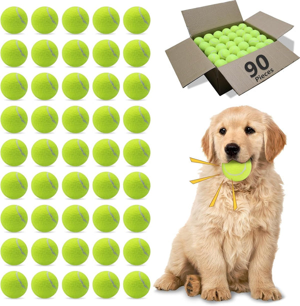 Magicorange Dog Tennis Balls, 20 Pack 2.5 Inch Squeaky Tennis Balls | Floatable Squeaky Dog Balls for All Breed Dogs,Natural Rubber,Colorful Easy Catching Multicolor,With Mesh Bag12