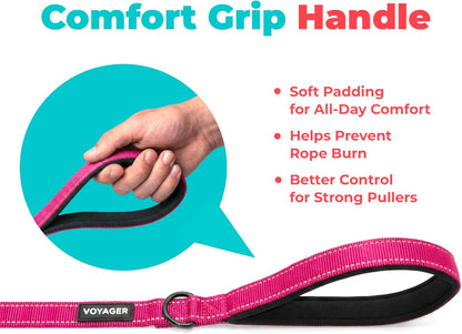 Best Pet Supplies Voyager Nylon Dog Leash - Fuchsia, Small | 5Ft in Length, 5/8" in Width, Reflective, Soft Neoprene Handle, Heavy Duty Metal Clips for Running, Walking & Training5