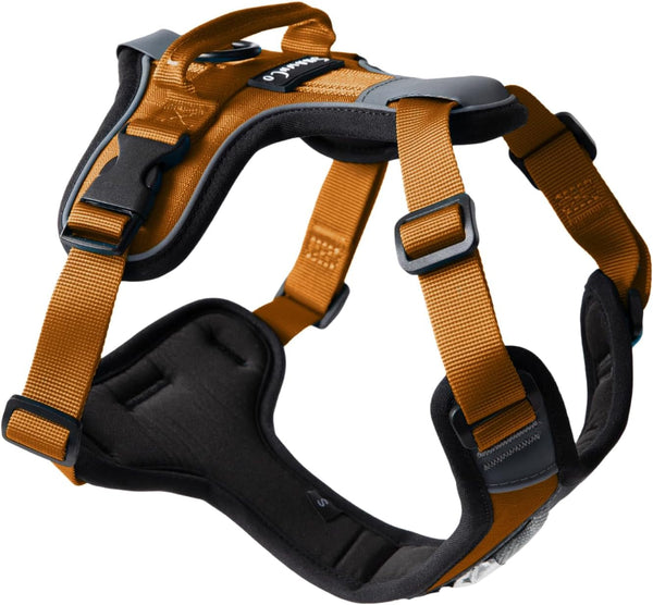Shawnco Basecamp Dog Harness, No-Pull Pet Vest with 3 Leash Clips, Padded, Reflective, Lightweight and Adjustable Harness with Handle for Small, Medium and Large Dogs (ICY Lilac, M)13