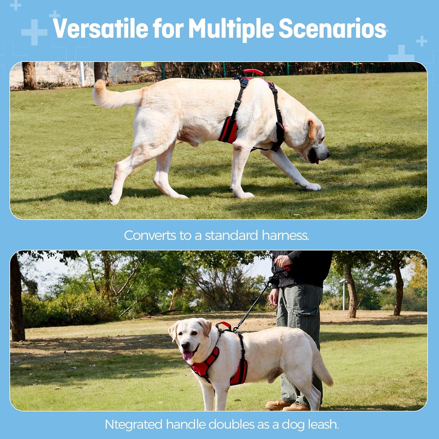 dog-lifting-harness-for-medium-dogs-dual-handle-dog-support-harness-for-daily-walking-assistance-male-dog-friendly-breathable-easy-on-mobility-aid-red-m
