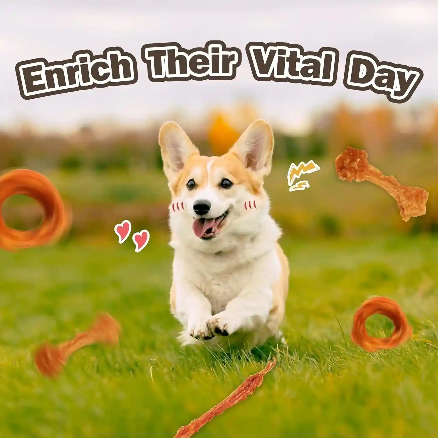 vitaday-turkey-tendons-for-dogs-all-natural-healthy-dog-treats-long-lasting-hypoallergenic-dog-chews-rawhide-free-usa-sourced-for-small-dogs-strips-3-oz-pack-long-lasting-dog-training-treats-rawhide-free-made-of-usa-sourced-turkey