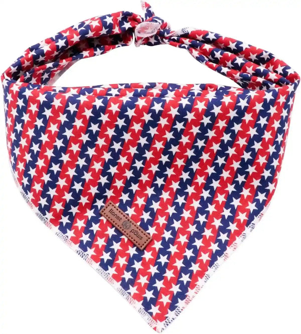 Lionet Paws Dog Bandana for Small Medium Large Dogs, Cat Kerchief Blue DOIT, Triangle Bibs Scarf for Girl or Boy31