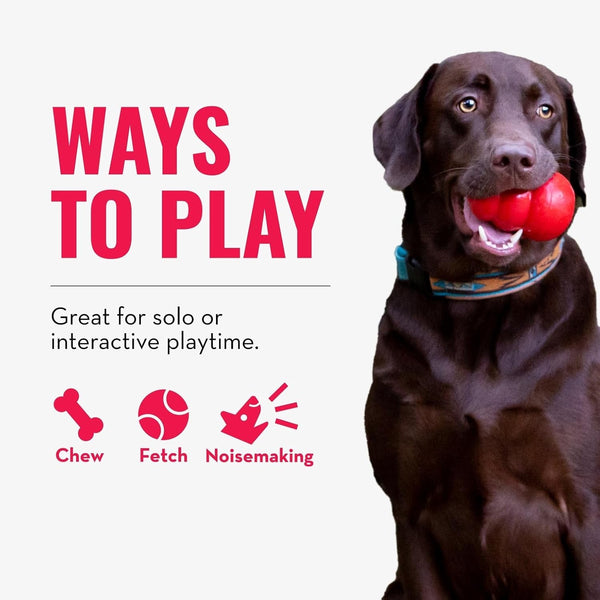 KONG Wubba Tug of War and Fetch Dog Toy, for XL Dogs | Indoor & Outdoor Toy for Puppy & Dog Playtime, Great for Tug of War & Fetch, Color Randomly Provided5