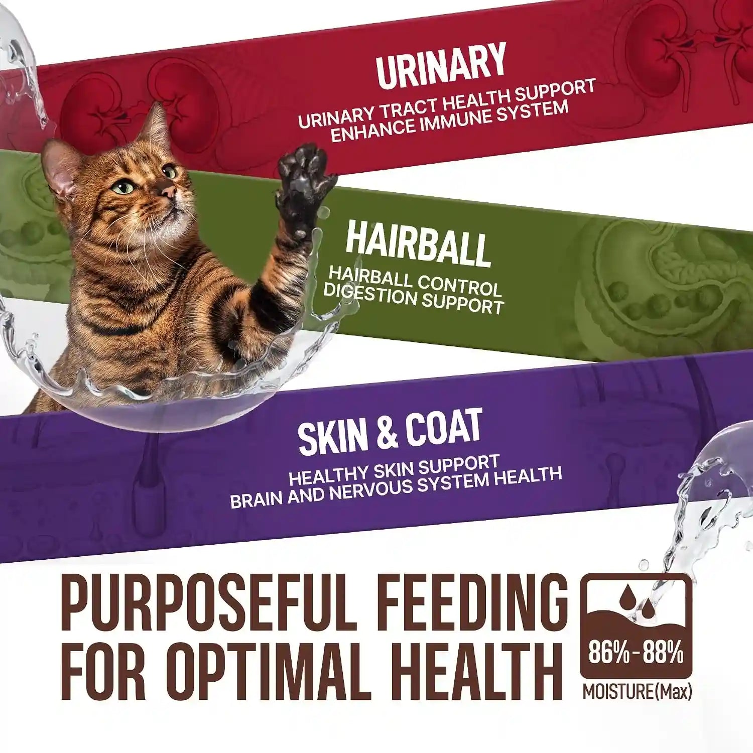 petphabet-lickable-cat-treats-spoon-3-flavors-variety-pack-36-count-creamy-puree-kitten-treat-functional-wet-paste-skin-coat-support-hairball-relief-urinary-health-grain-free-with-taurine