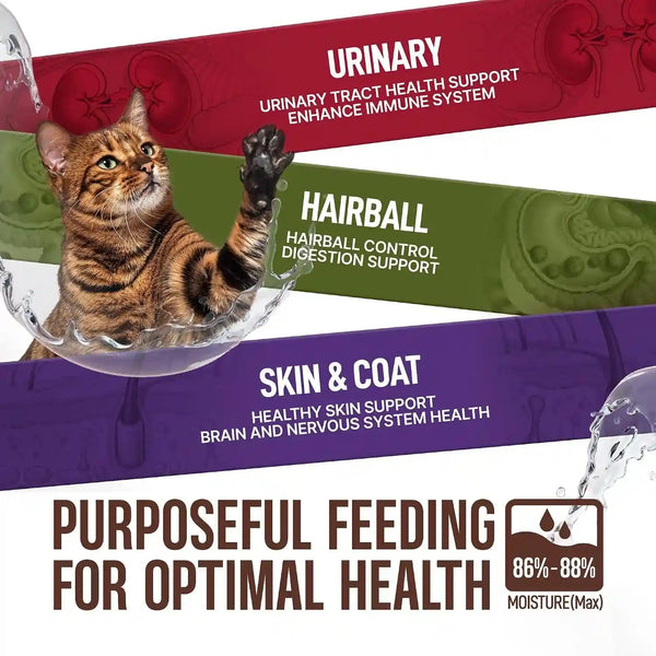 PETPHABET Lickable Cat Treats Spoon, 3 Flavors Variety Pack, 36 Count | Creamy Puree Kitten Treat, Functional Wet Paste, Skin Coat Support, Hairball Relief, Urinary Health, Grain-Free with Taurine4