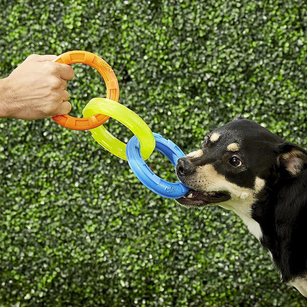 Nerf Dog 3-Ring Tug Outdoor Dog Toy, 10.5 Inch Ring Dog Tug Toy for Medium and Large Breeds, Blue/Green/Orange2