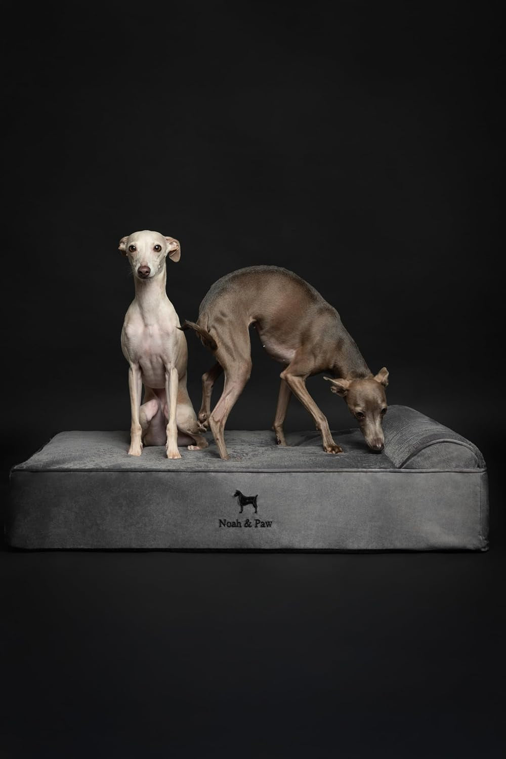 noah-paw-large-dog-bed-35x25x8-7-inch-orthopedic-dog-beds-eggshell-memory-foam-infused-with-cooling-gel-water-resistant-machine-washable-includes-inner-cover-velvet-collection