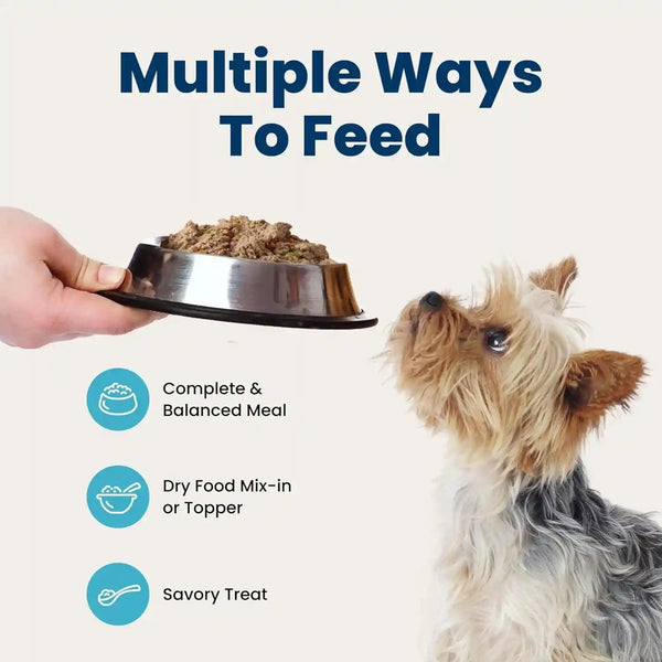 Blue Buffalo Delights Variety Pack Natural Grain Free Wet Dog Food for Small Breed Dogs (Top Sirloin Flavor Paté and Grilled Chicken Flavor Paté) with Natural Ingredients, 3.5-Oz. Each (12 Cups)8