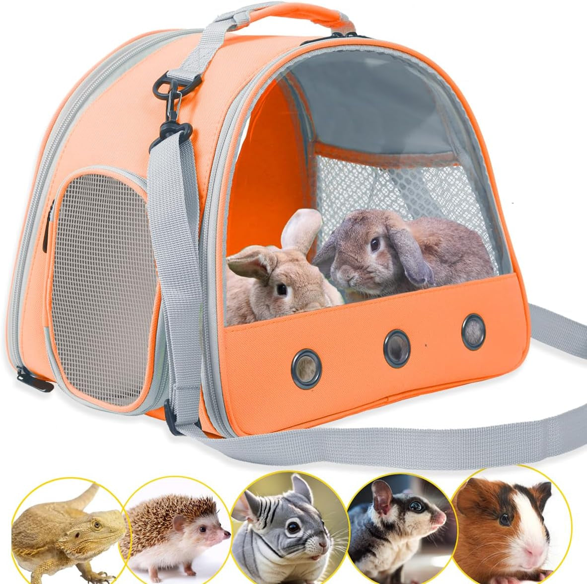 bearded-dragon-travel-carrier-lizards-carrier-small-animal-travel-carrier-for-sugar-glider-hedgehog-rat-parrot-bird-guinea-pig-portable-guinea-pig-travel-bag-for-2