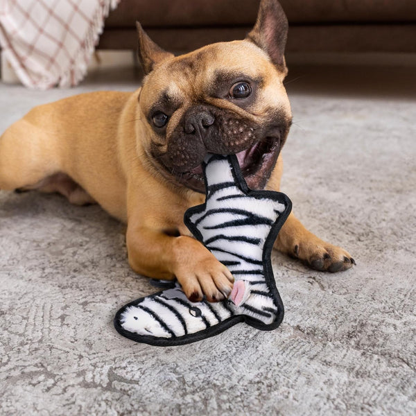 SHARLOVY No Stuffing Dog Toys Crinkle Squeaky, Long Lasting Chews for Aggressive, Durable Plush Dog Puppy Chew Toys for Teething, with 6 Tough Layers for Small Medium Large Breed-5Pack,Large5