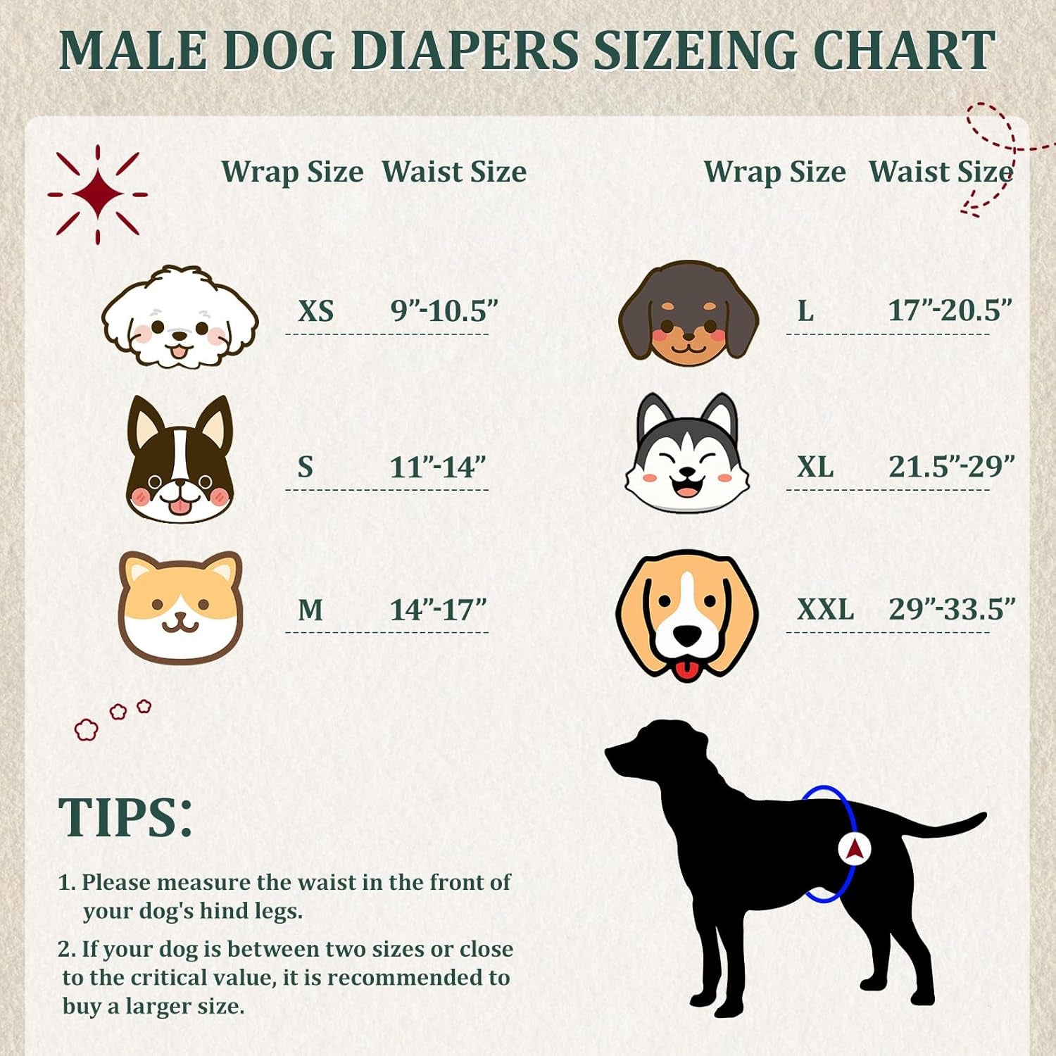reusable-dog-diapers-male-premium-washable-belly-bands-for-dogs-pack-of-5-high-absorbing-small-dog-wraps-for-doggie-puppy-in-incontinence-or-excitable-urination-and-trainings