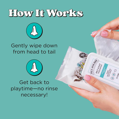 Poo-Pourri Pawsitively Fresh Deodorizing Pet Wipes – Quick Cleaning Wipes for Dogs & Cats – Plant Based Ingredients – Vet Recommended – Cleaner Odor Remover Wipes for Paw, Fur & Skin Soothing6