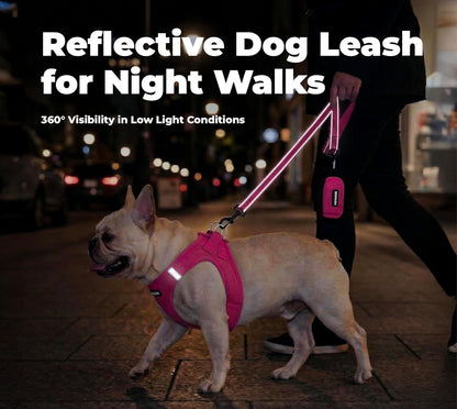 Best Pet Supplies Voyager Nylon Dog Leash - Fuchsia, Small | 5Ft in Length, 5/8" in Width, Reflective, Soft Neoprene Handle, Heavy Duty Metal Clips for Running, Walking & Training4
