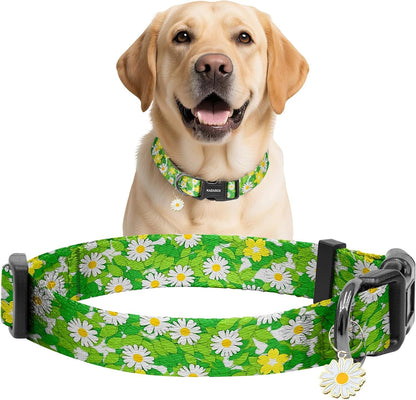 Kazazoo Dog Collar Cute and Soft Nylon Puppy Collar Girl Dogs, Adjustable Purple Dog Collars for Medium Dogs, Purple Flowers-M29