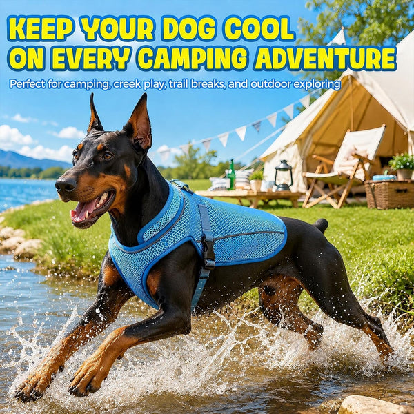 Dog Cooling Vest, Evaporative Cooling Dog Jacket with UV Protection, Lightweight Breathable Mesh Dog Cooling Shirt, Summer Heat Relief Gear with Adjustable Buckles for Hot Weather Walking & Hiking5