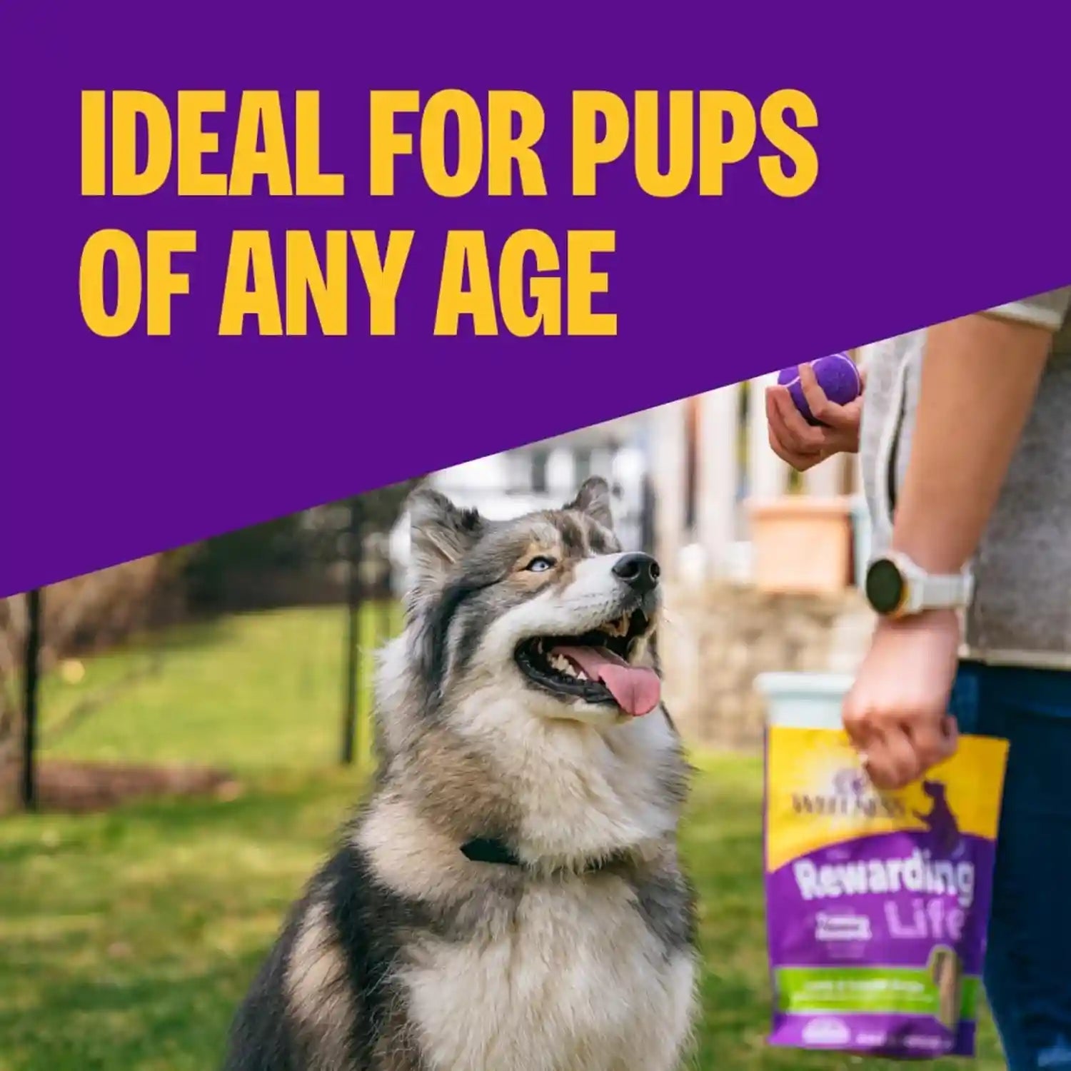 wellness-rewarding-life-soft-dog-training-treats-natural-grain-free-lamb-and-salmon-recipe-6-oz-bag